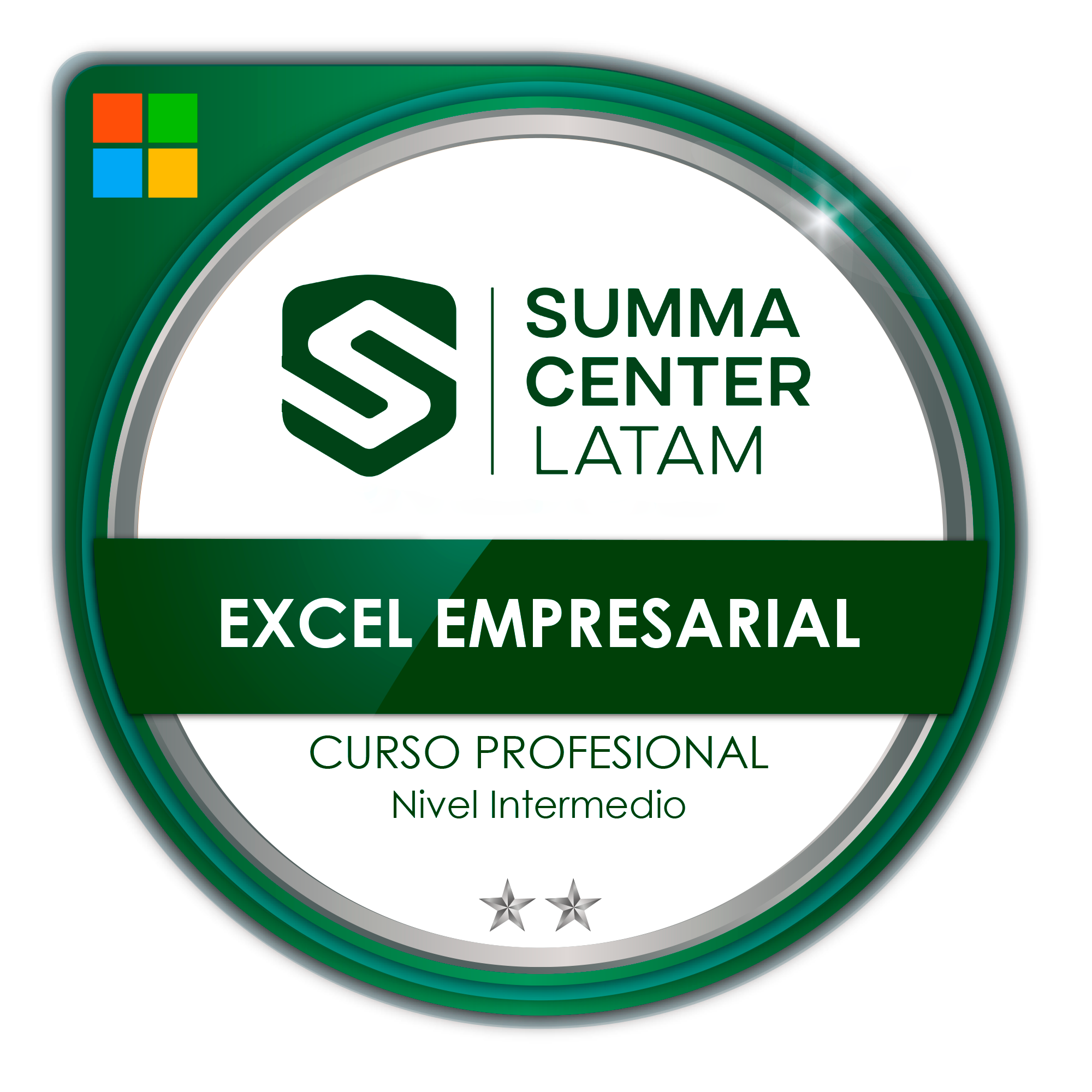 Excel Empresarial Nivel Intermedio - Silver