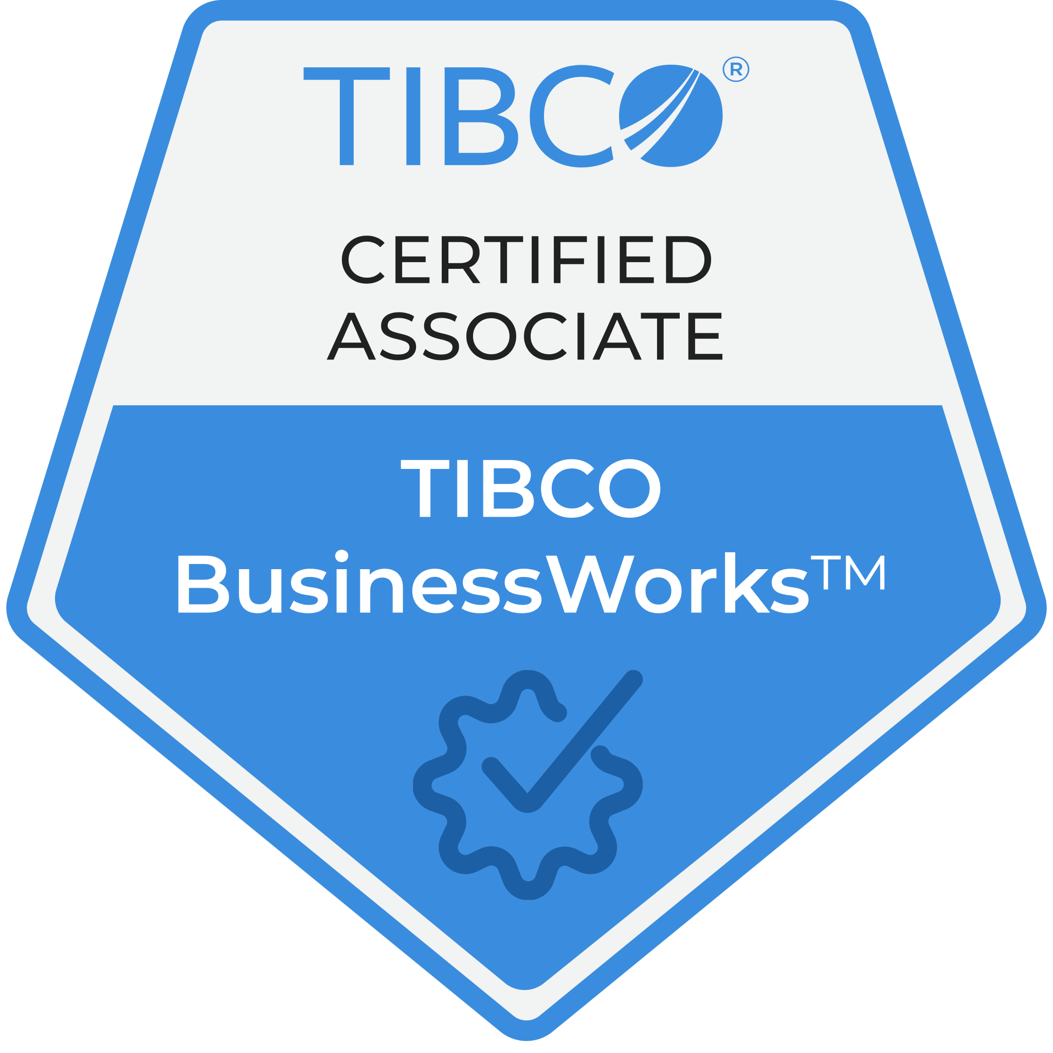 TCA - TIBCO BusinessWorks