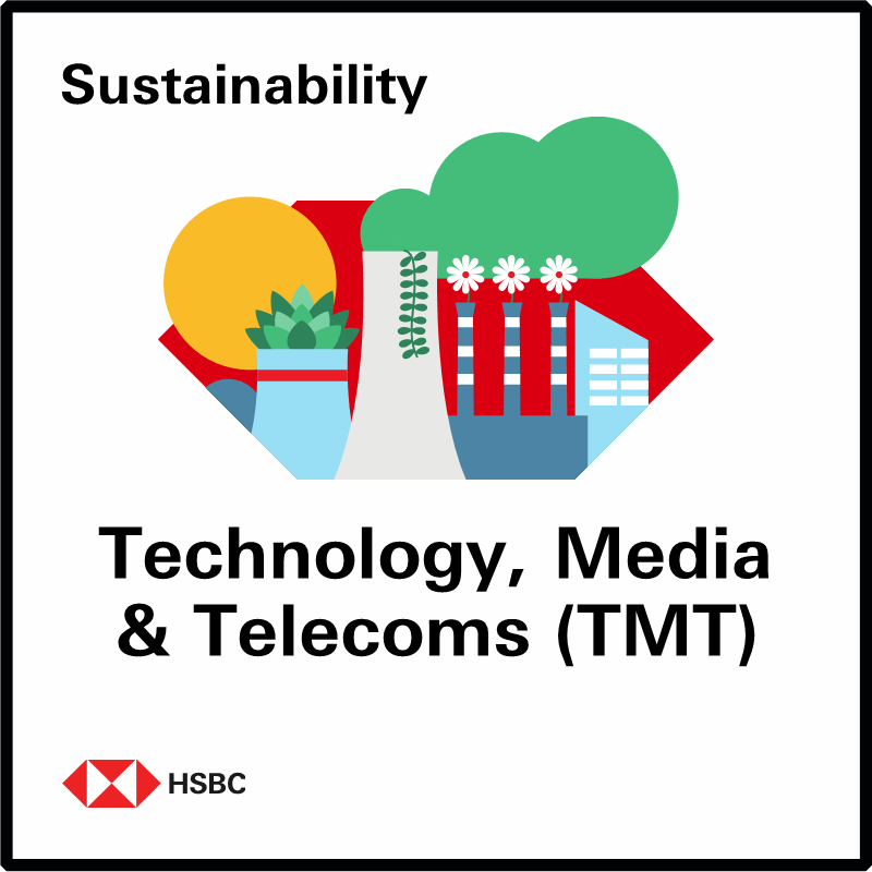 Technology, Media & Telecoms (TMT)