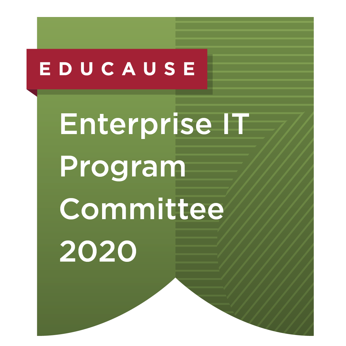 Enterprise IT Program Committee 2020