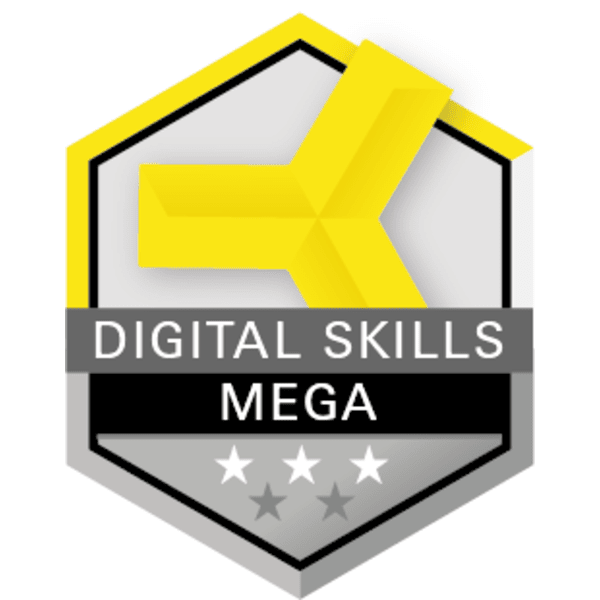 Digital Quotient (DQ) - Mega