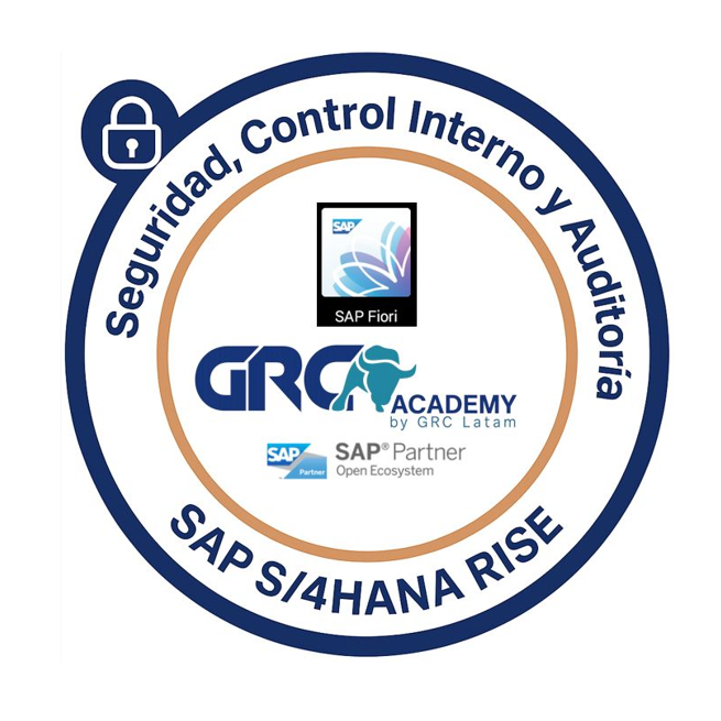Seguridad, Control Interno y Auditoría SAP S/4HANA Rise