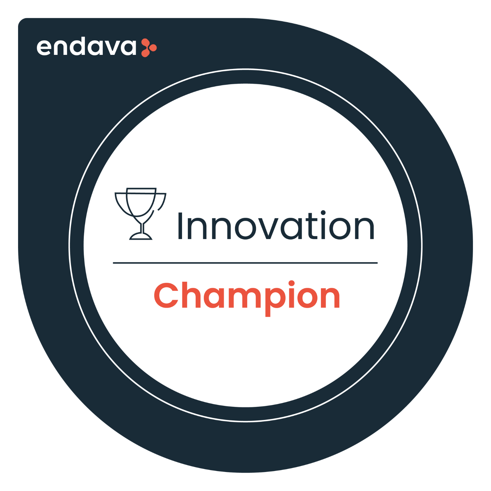 Innovation Champion