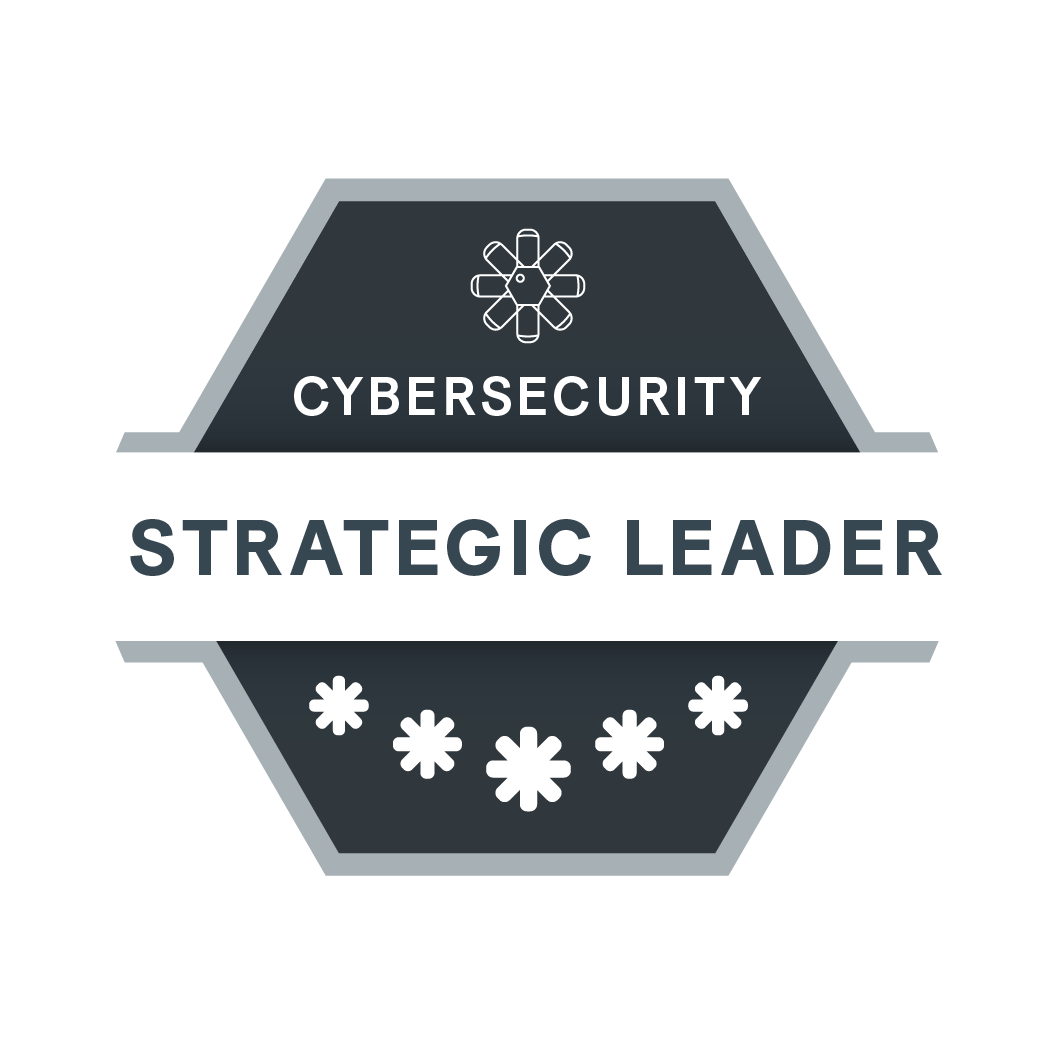 Cybersecurity Strategic Leader