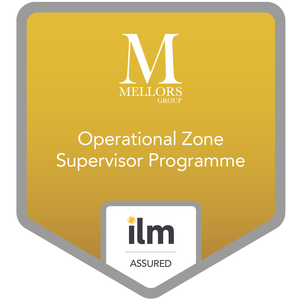 Mellors Group - Operational Zone Supervisor Programme