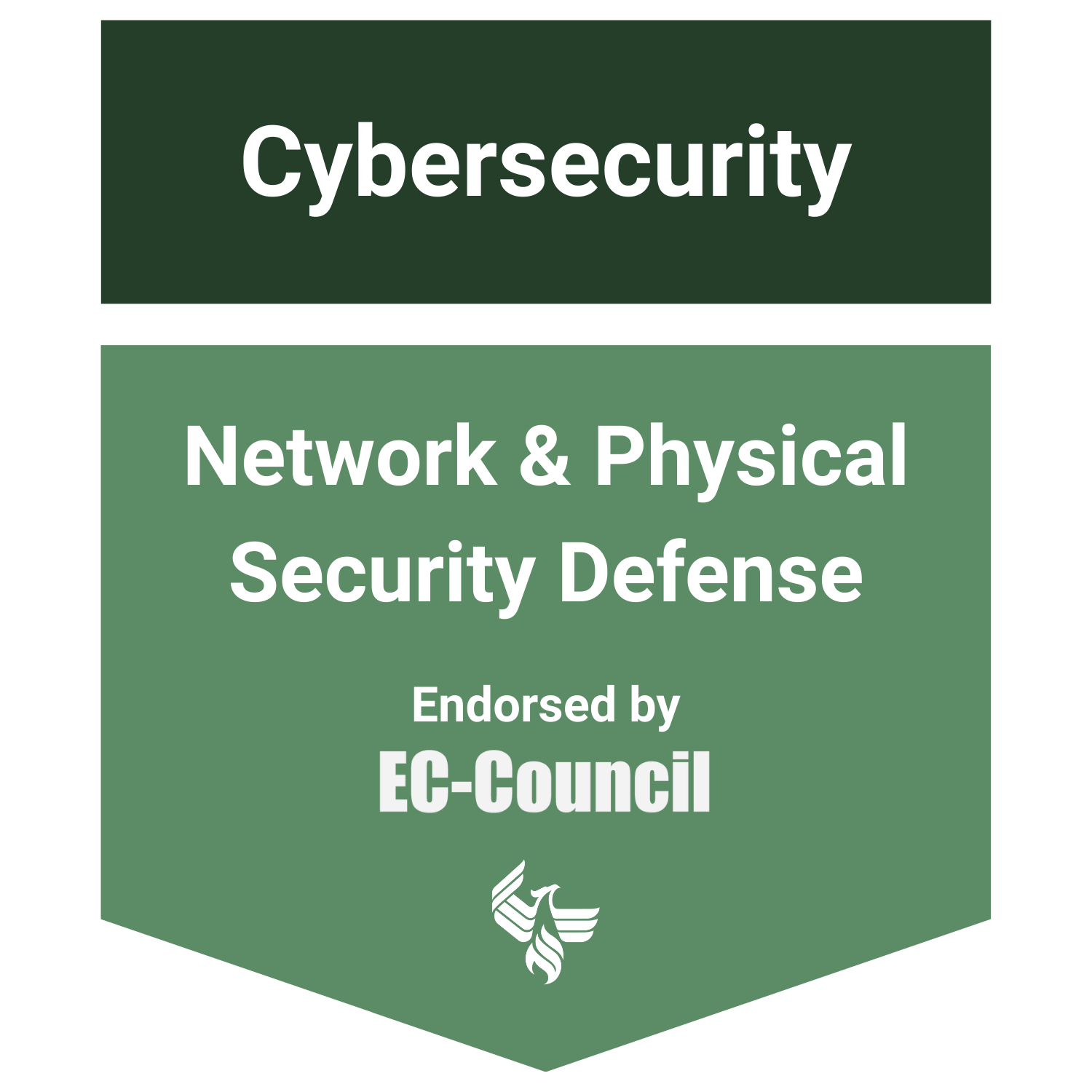 Network & Physical Security Defense