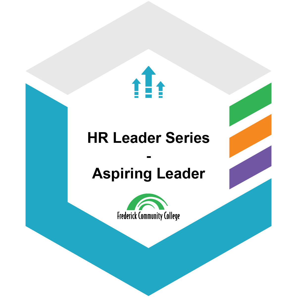HR Leader Series - Aspiring Leader