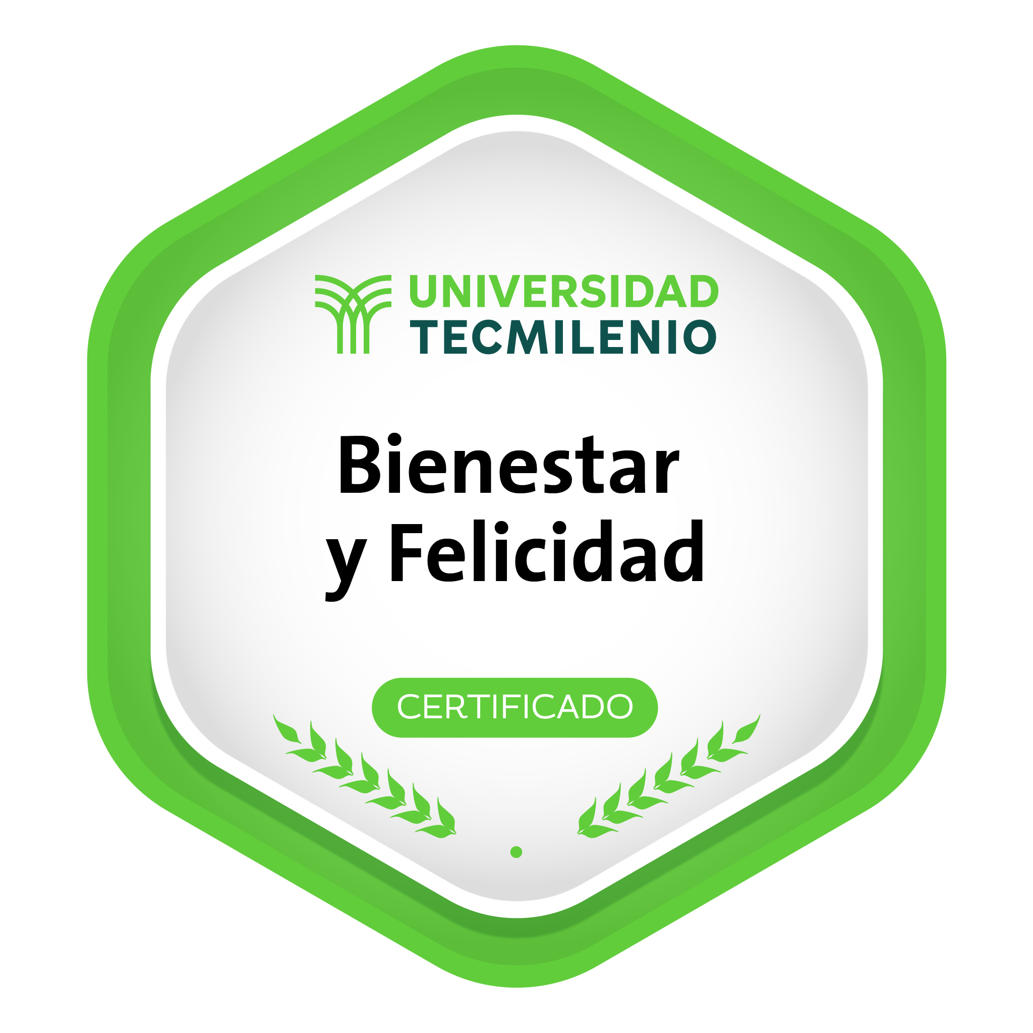 Bienestar y Felicidad