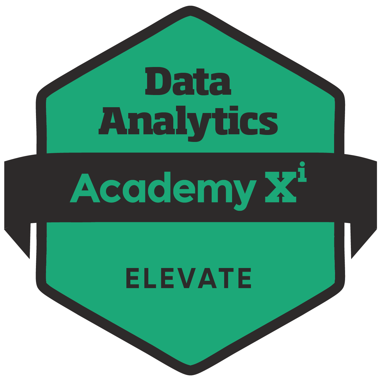 Data Analytics Elevate