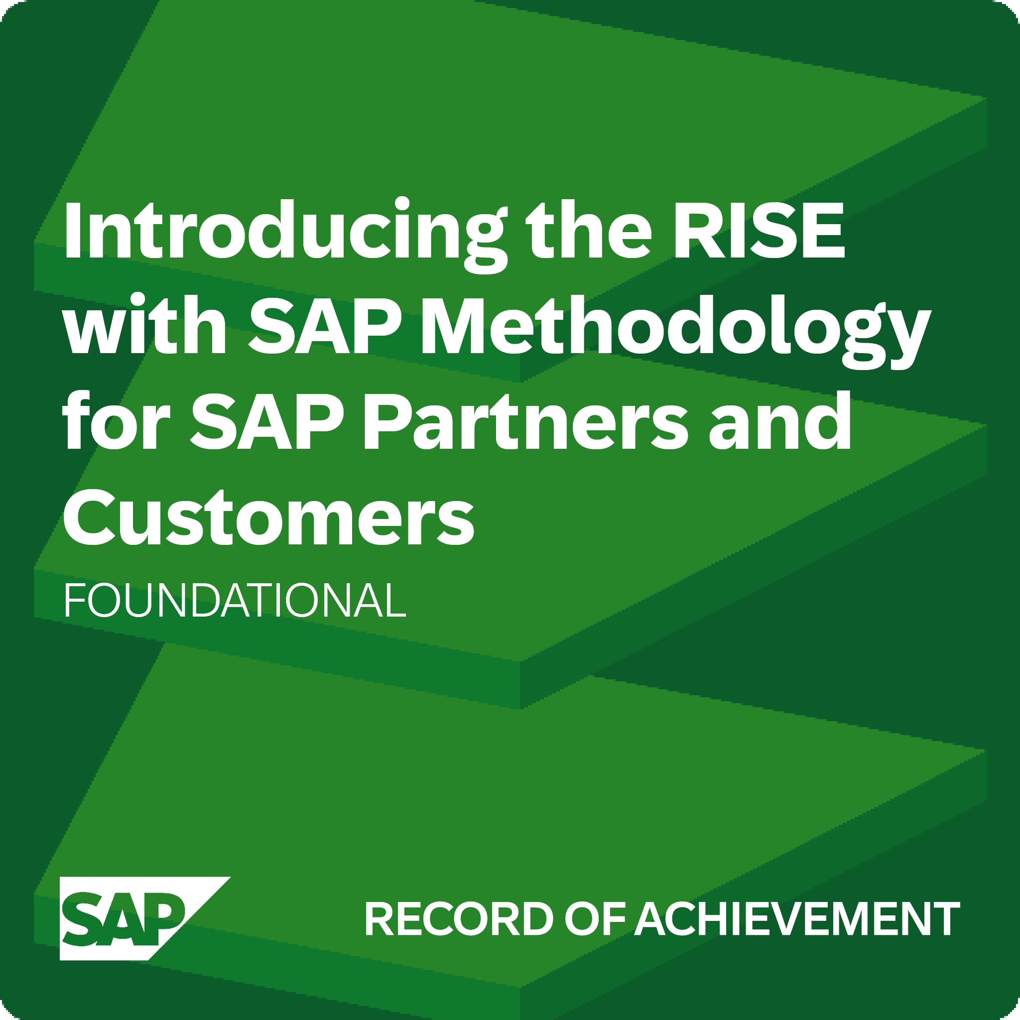Introducing the RISE with SAP Methodology for SAP Partners and Customers - Record of Achievement