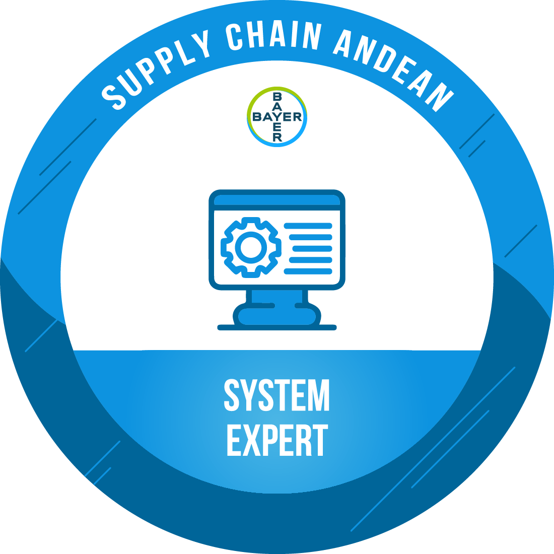 System Expert (APO)