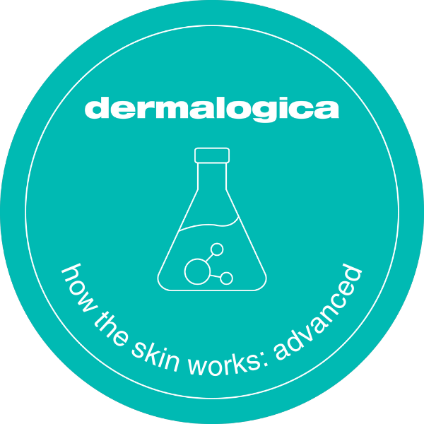 how the skin works: advanced - online