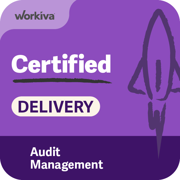 Delivering the Audit Management Solution