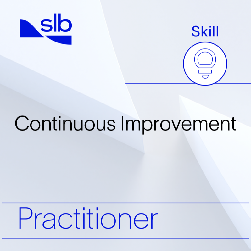 Continuous Improvement (CI) Practitioner