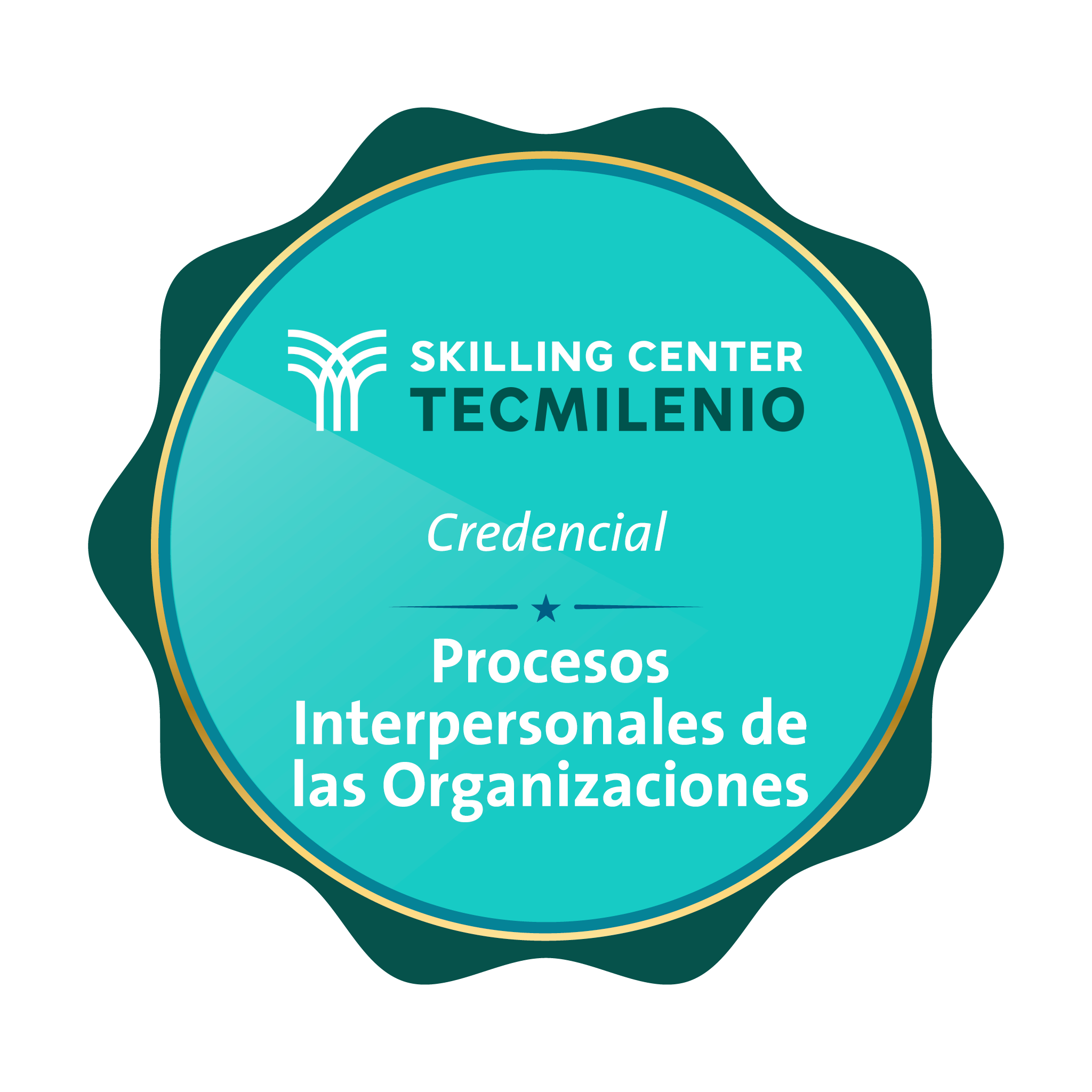 Credencial Procesos interpersonales de las organizaciones