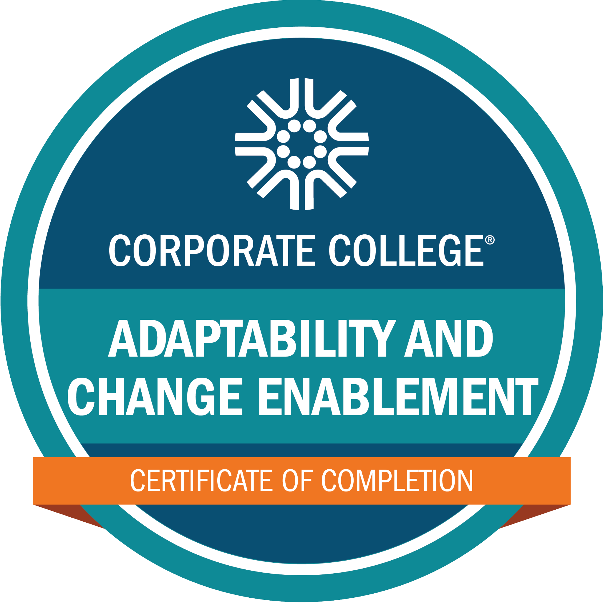 Adaptability and Change Enablement