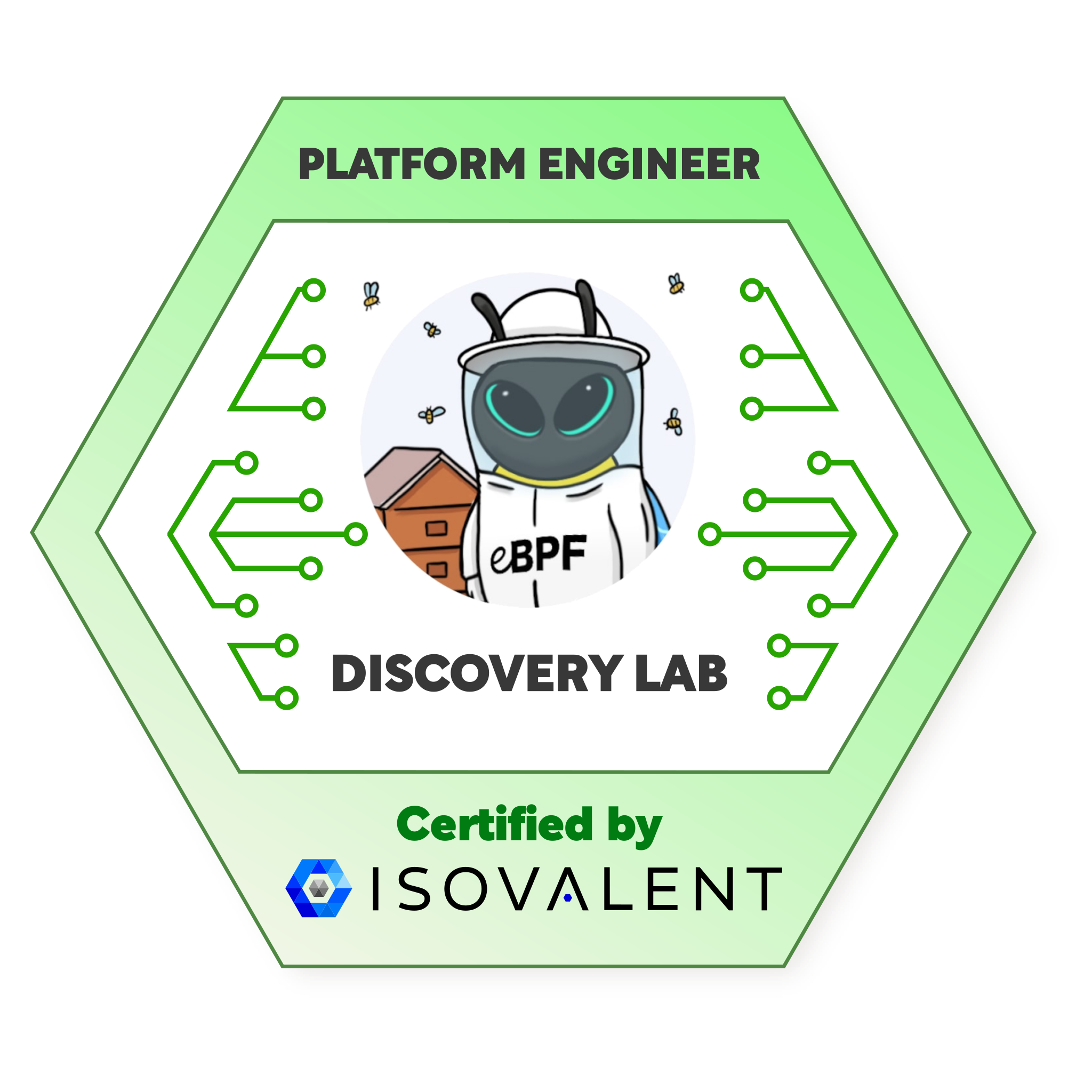 Discovery: Platform Engineer