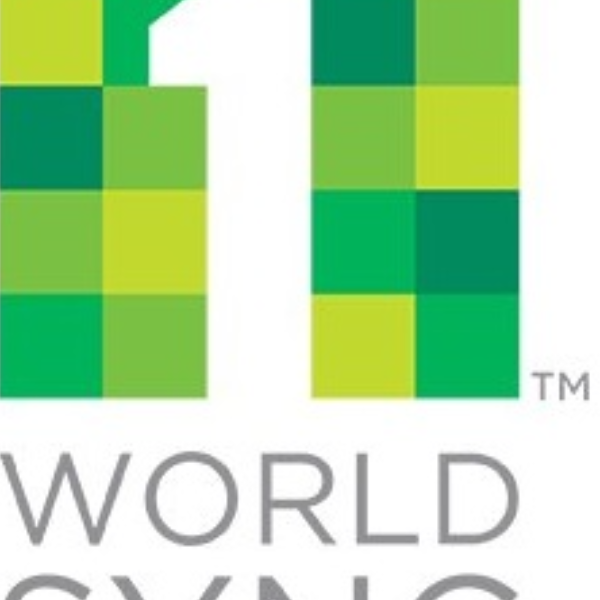 1WorldSync