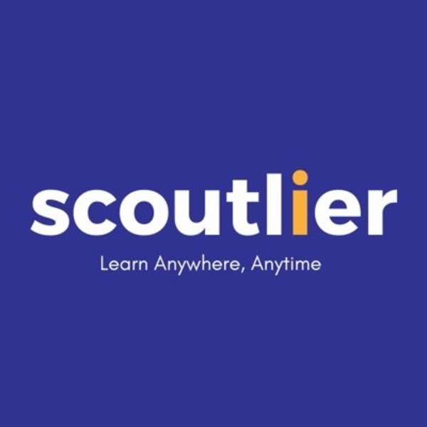Scoutlier
