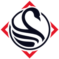 The Black Swan Group
