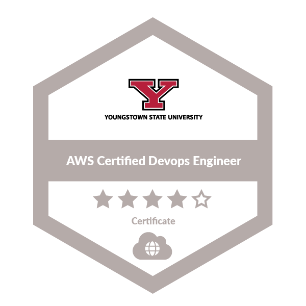 AWS Certified DevOps Engineer - Professional - Credly