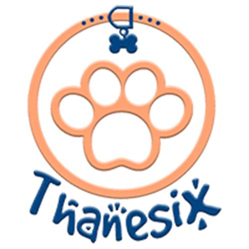 Thanesix Com