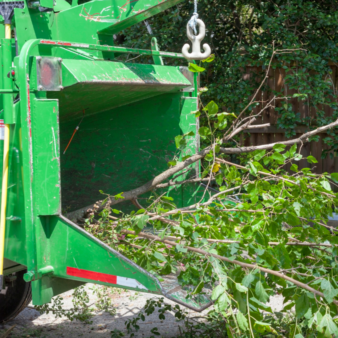 Tucson Tree Service