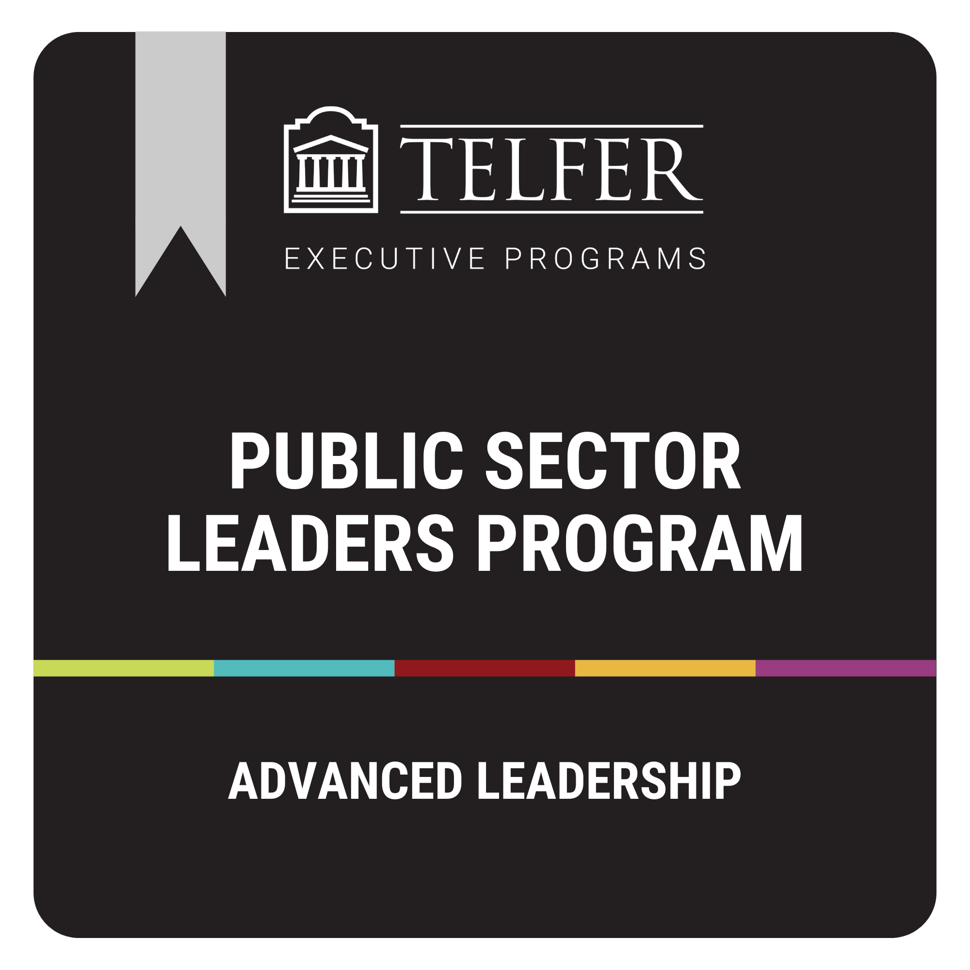 Public Sector Leaders Program - Credly
