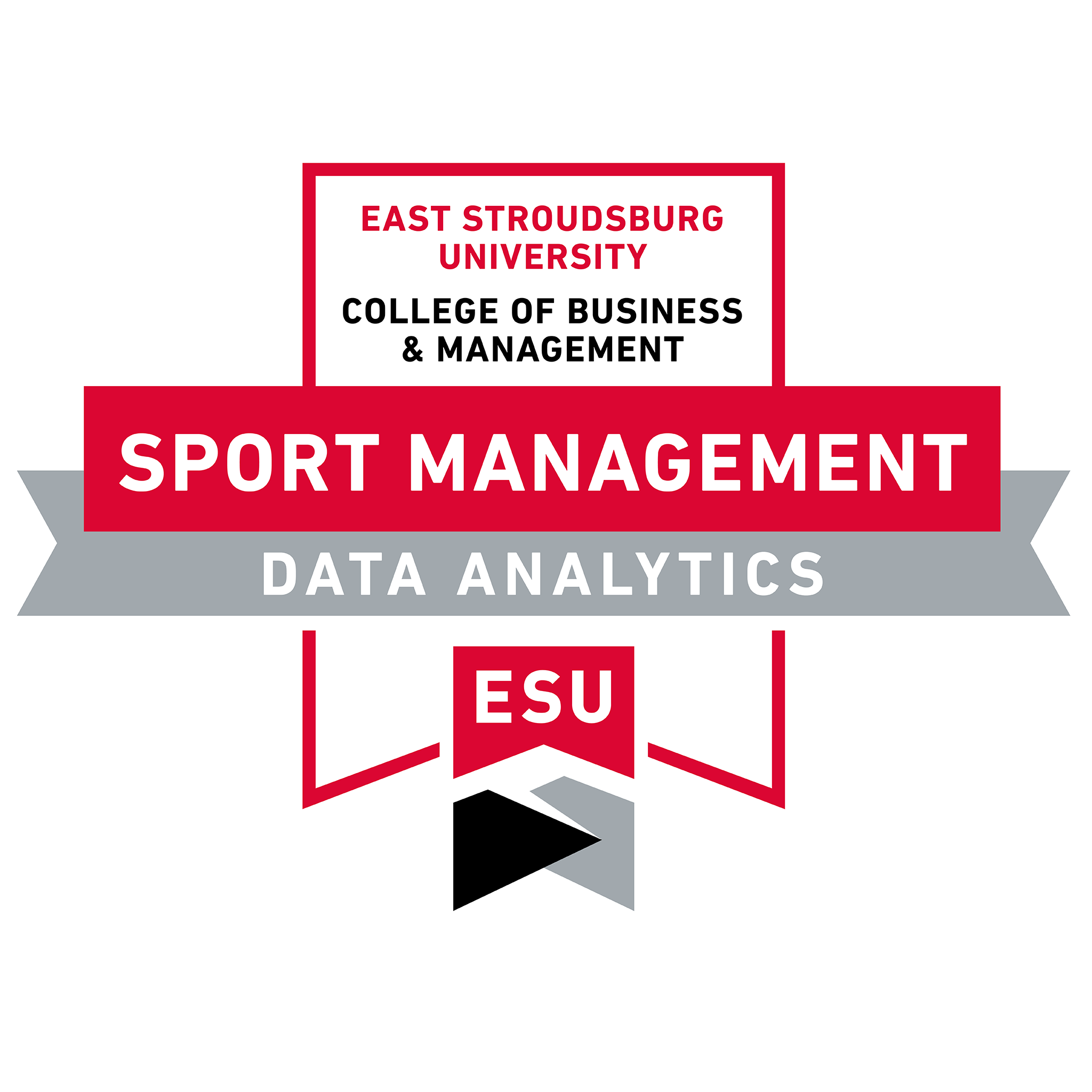 SMGT Sport Data Analytics Credly