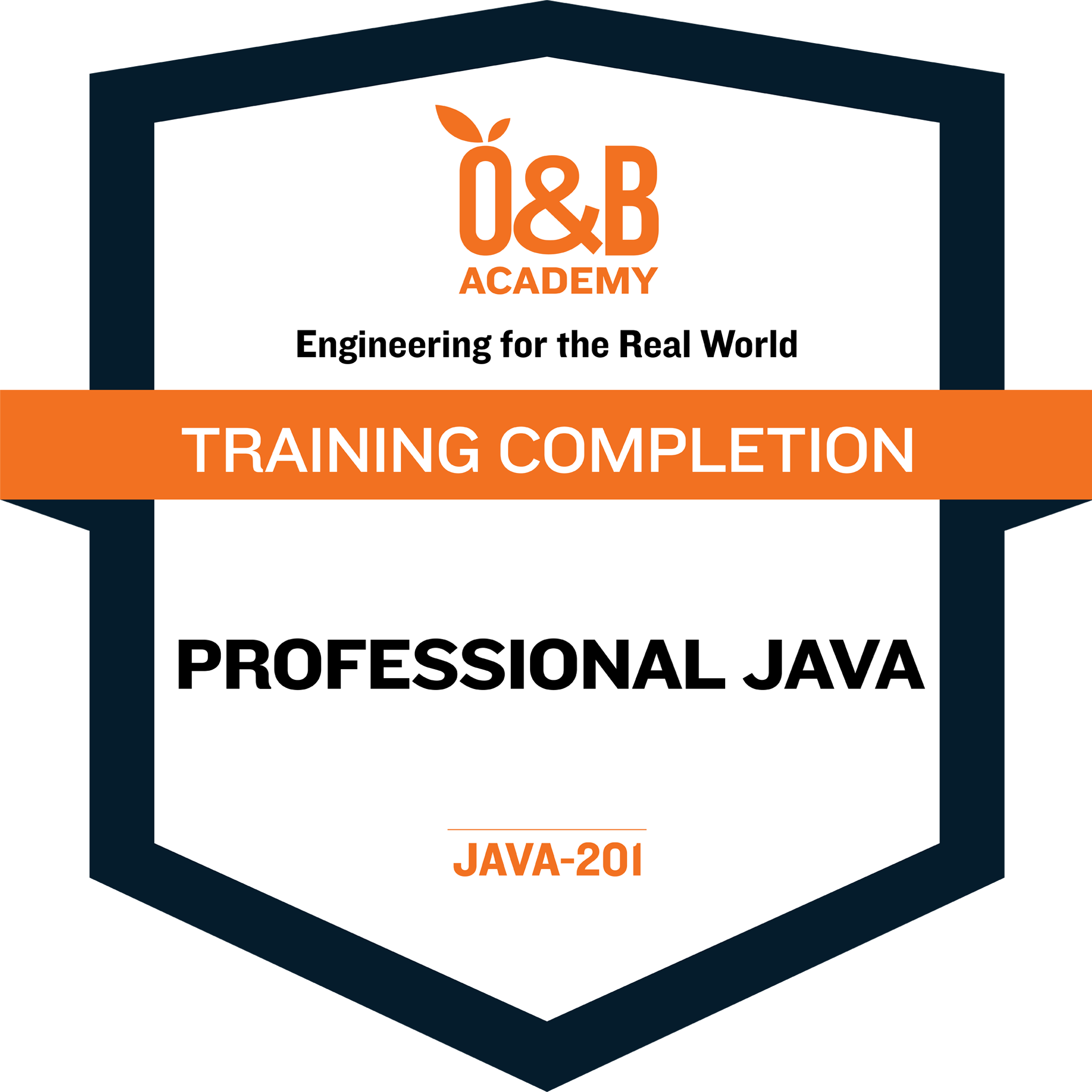 JAVA-201: Professional Java - Credly
