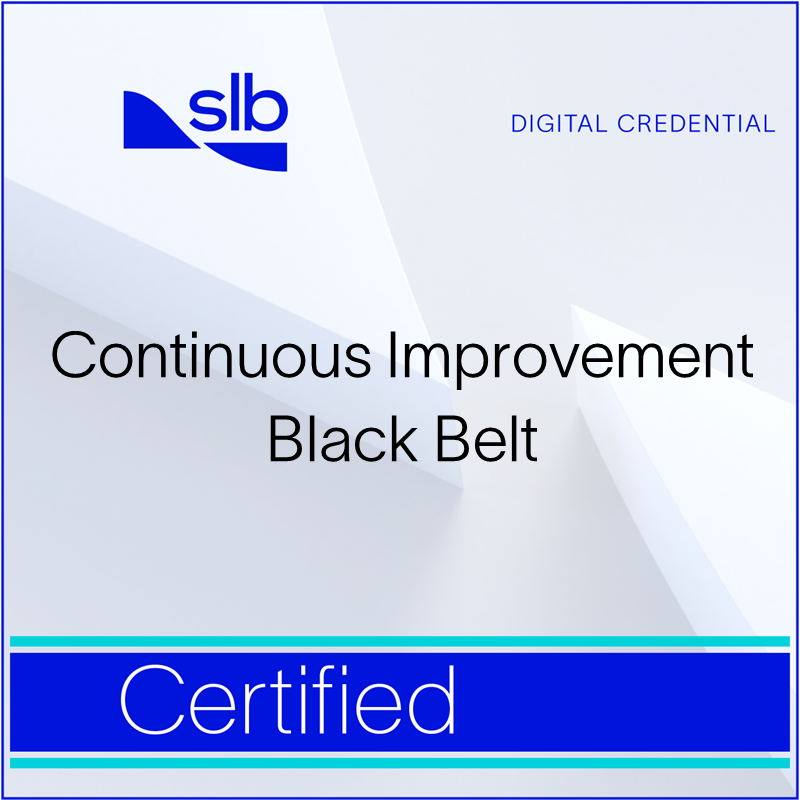 Continuous Improvement (CI) Black Belt Certified Credly
