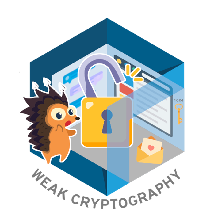 Weak Cryptography - Credly