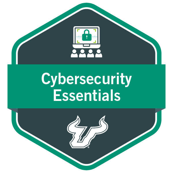 Cybersecurity Essentials