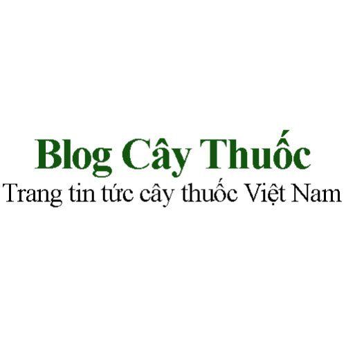 blog caythuoc