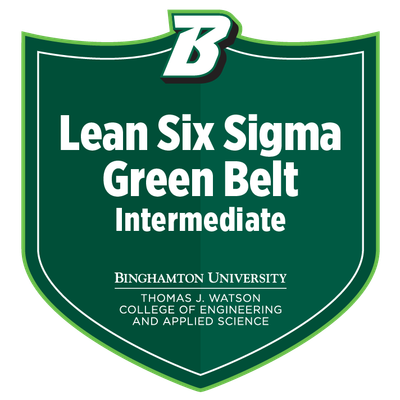 LSS Green Belt