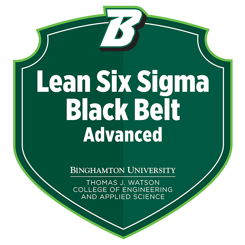 LSS Black Belt