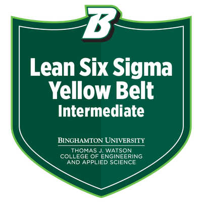 LSS Yellow Belt Badge