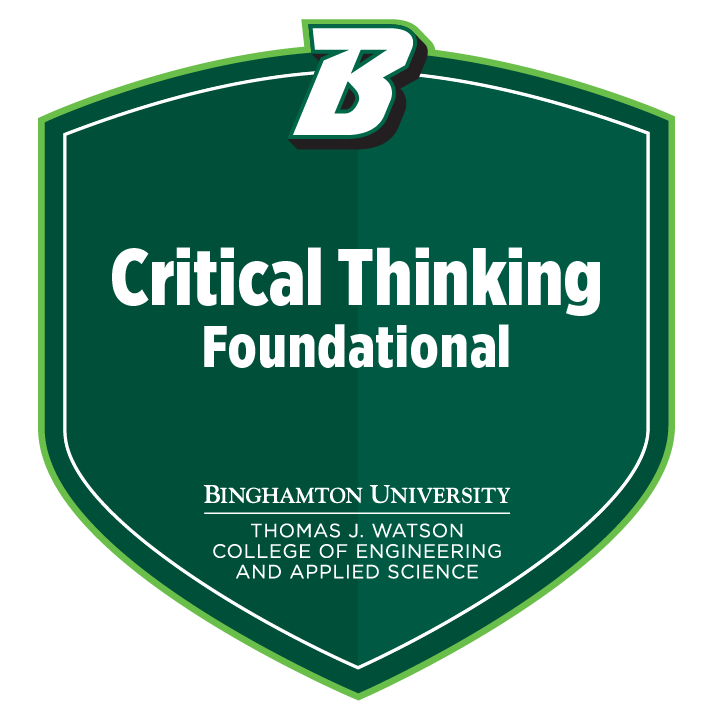 Critical Thinking 