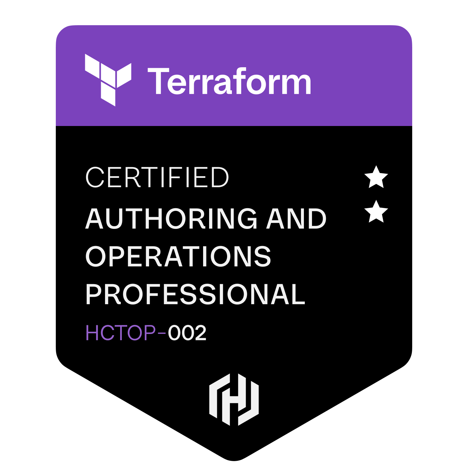 Terraform Professional