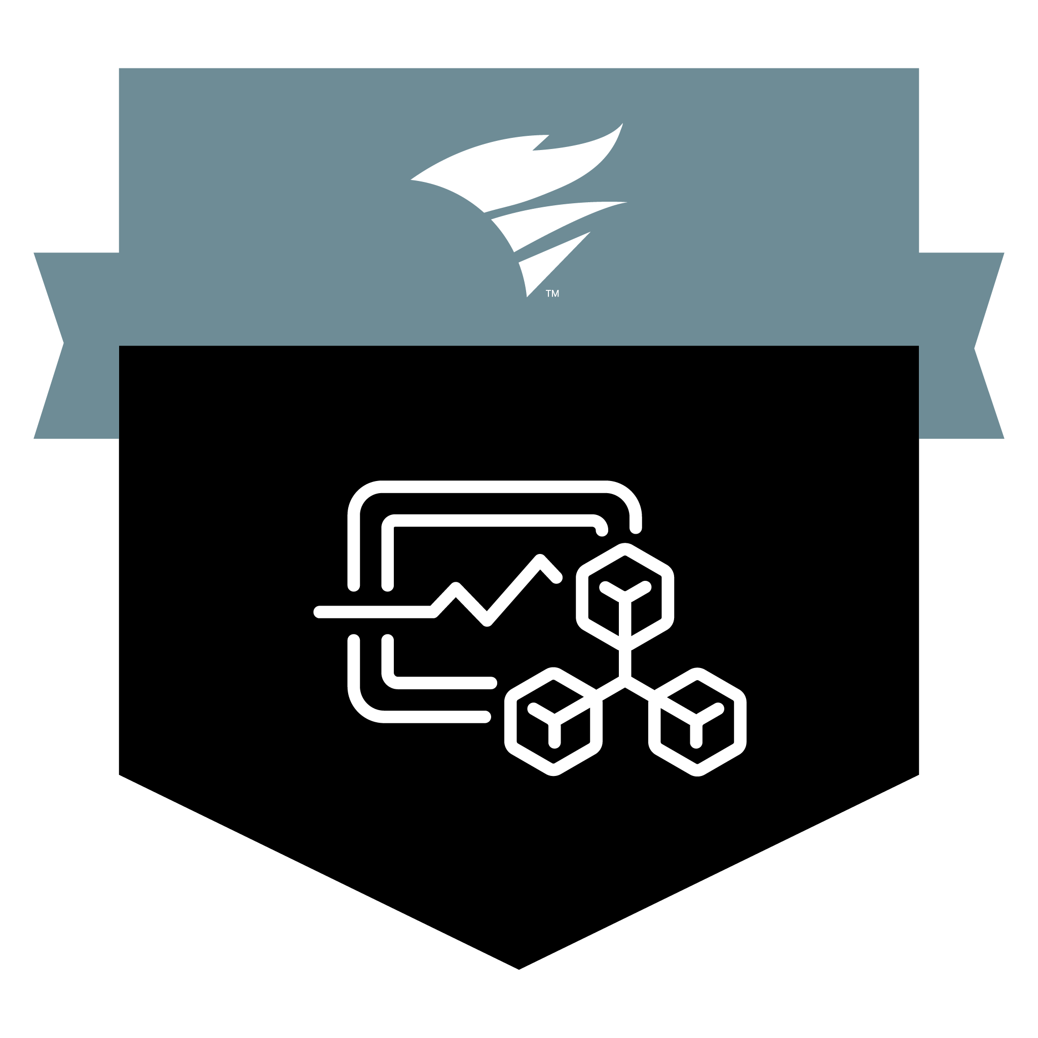 NetFlow Traffic Analyzer