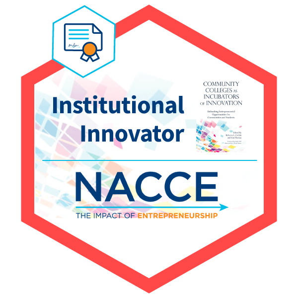 Institutional Innovator