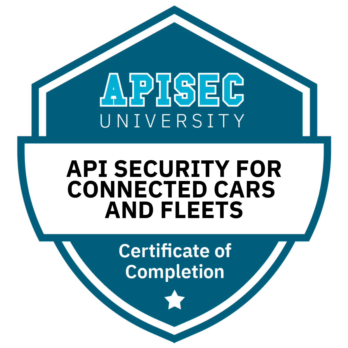 API Security for Connected Cars and Fleets