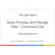 Store, Process, and Manage Data on Google Cloud - Command Line Skill Badge