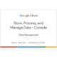 Store, Process, and Manage Data on Google Cloud - Console Skill Badge