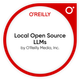 Local Open Source LLMs