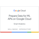 Prepare Data for ML APIs on Google Cloud Skill Badge