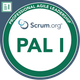 Professional Agile Leadership™ I (PAL I)