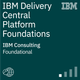 IBM Delivery Central Platform Foundations