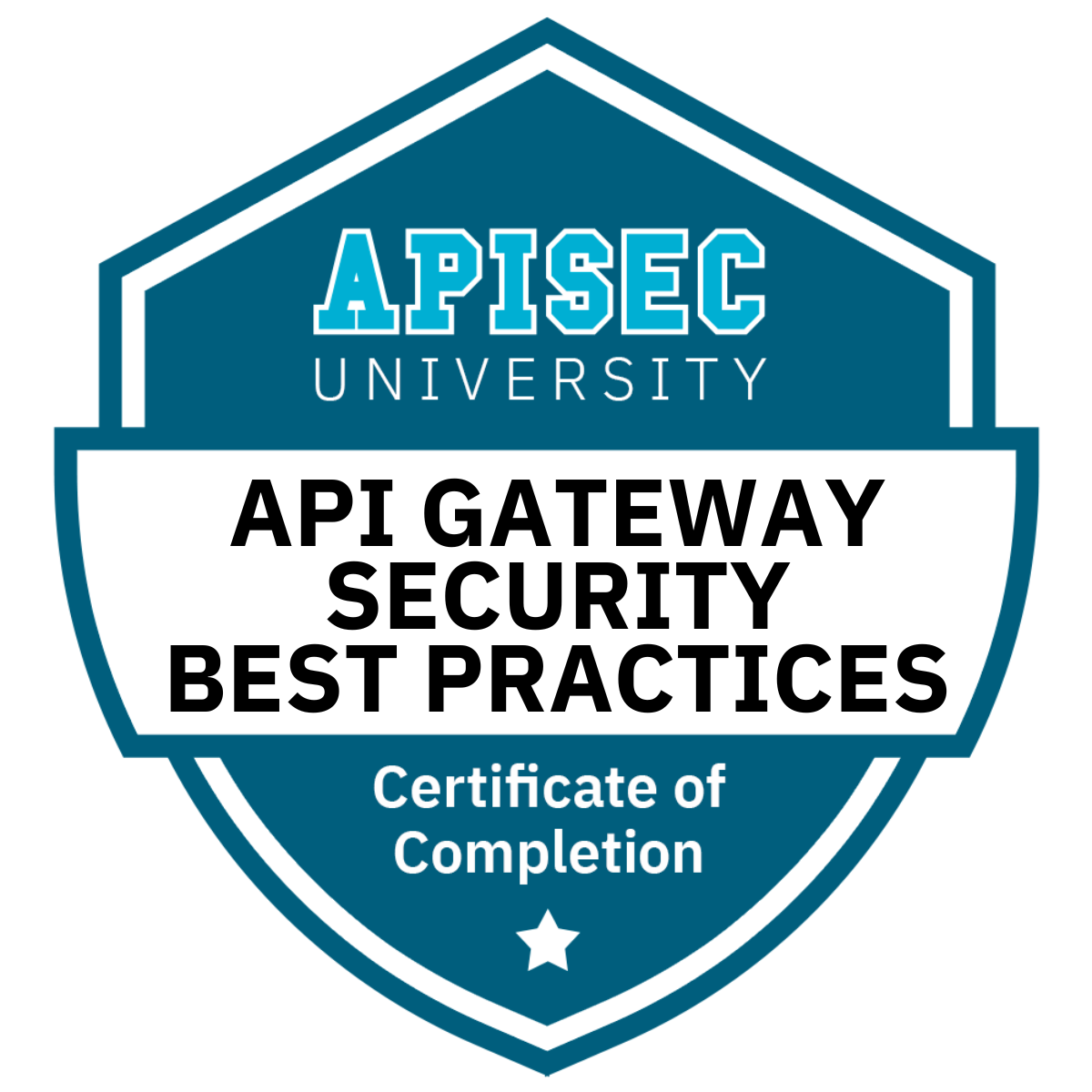 API Gateway Security Best Practices (1 hour)
