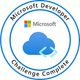 Microsoft Developer